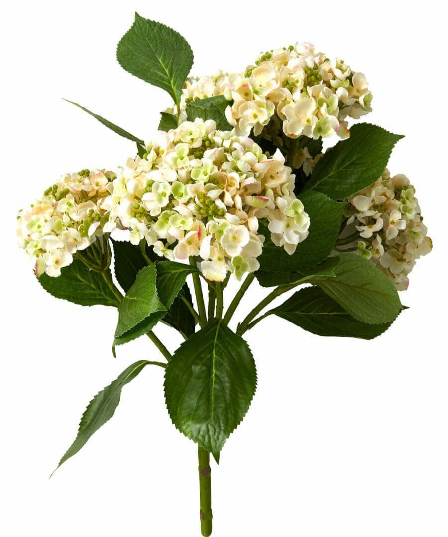 Floral Decor | Joe Browns Pretty Cream Hydrangea 5 Flower Stem