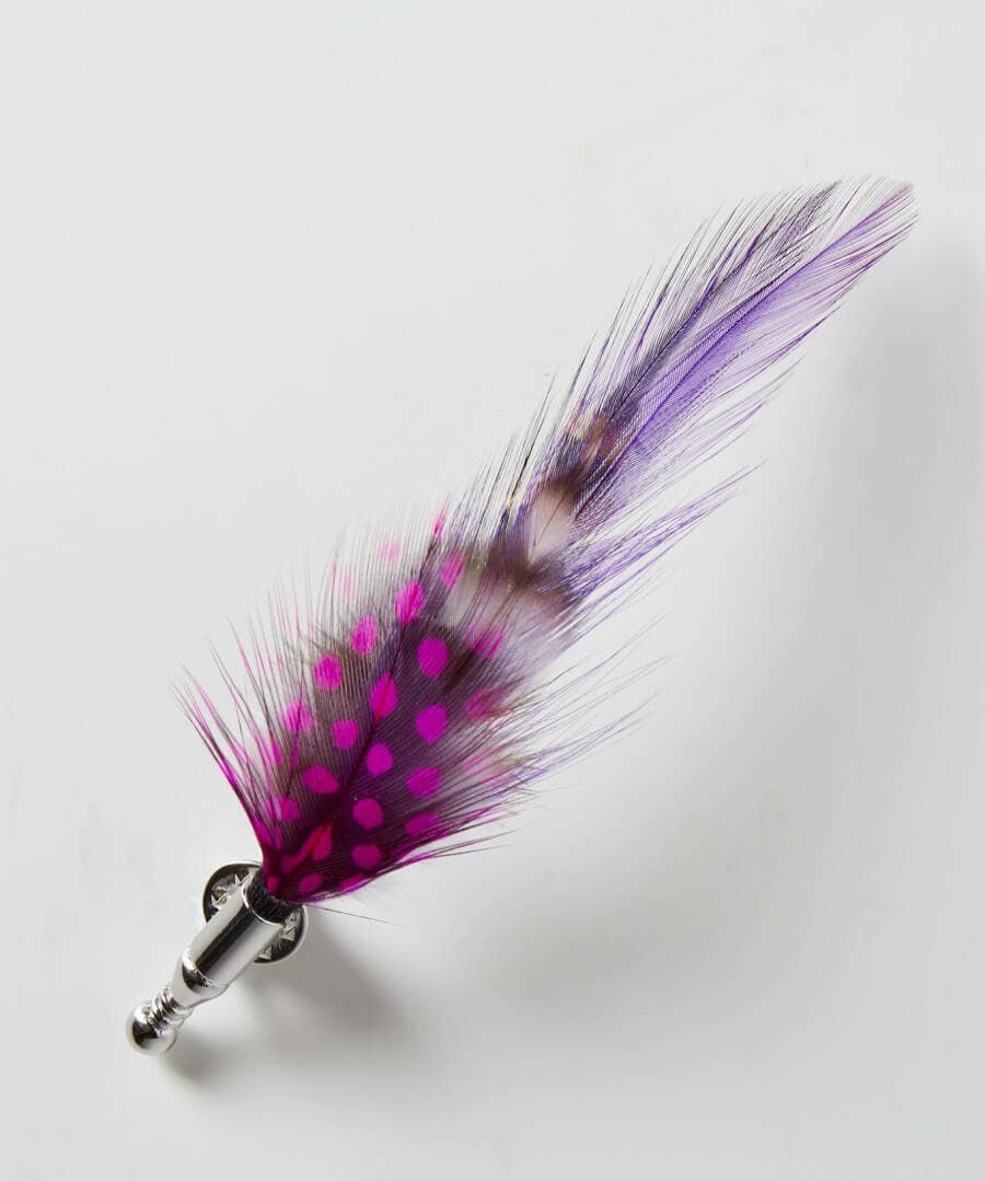 Tailoring | Joe Browns Vibrant Feather Pin