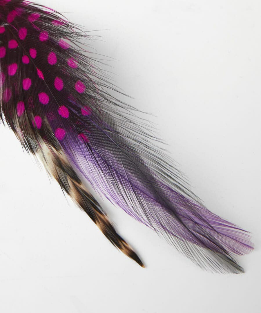 Tailoring | Joe Browns Vibrant Feather Pin