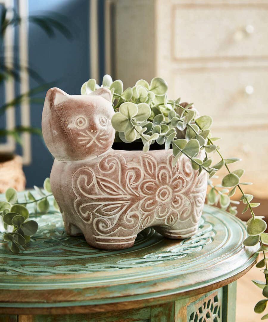 Floral Decor | Joe Browns Cute Kitty Planter